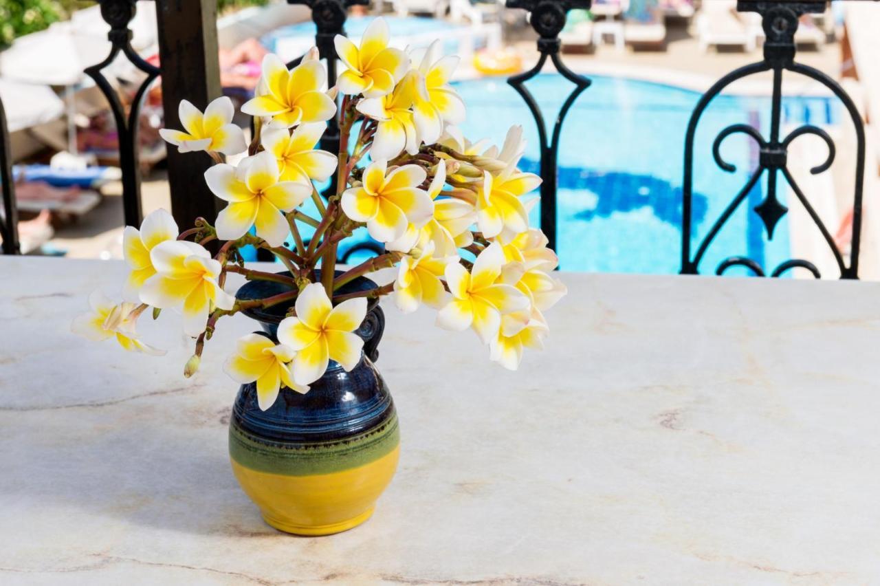 Summer Memories Aparthotel Pefki  Ngoại thất bức ảnh