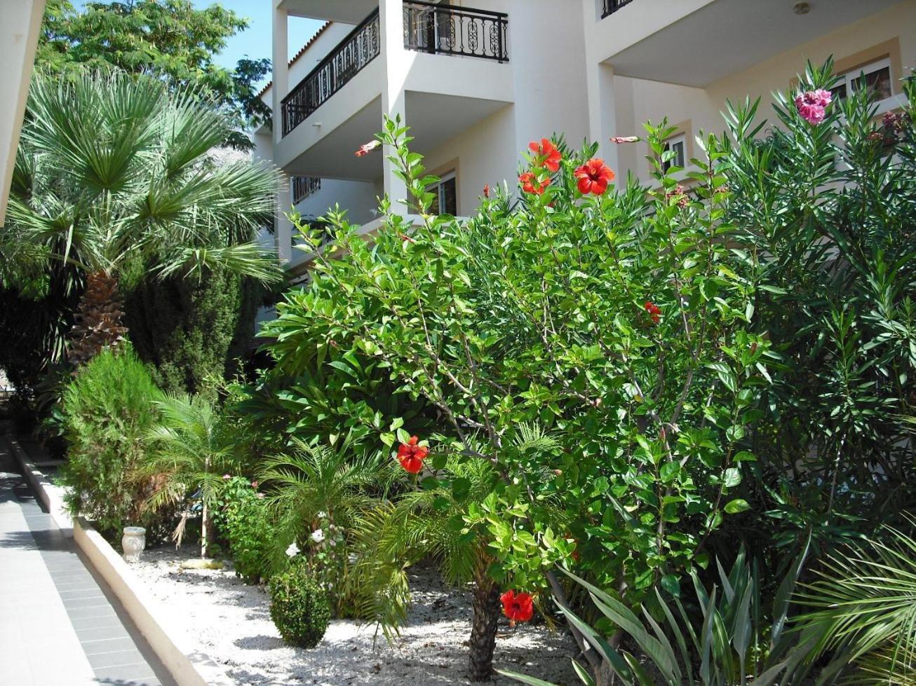 Summer Memories Aparthotel Pefki  Ngoại thất bức ảnh